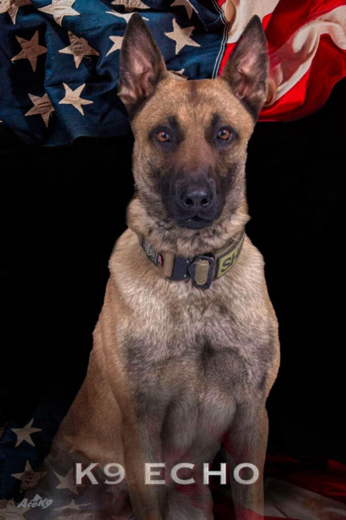 K9 Echo