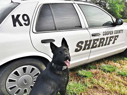 K9 Grimm